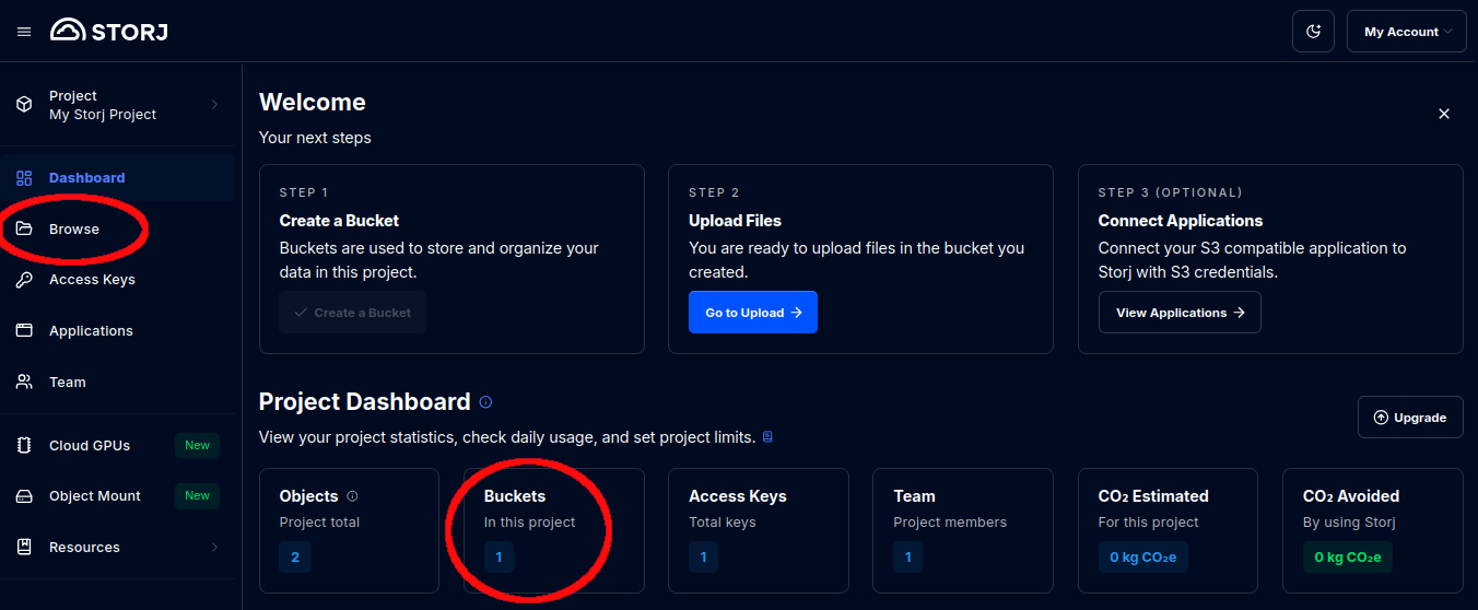 Screen grab of Storj dashboard